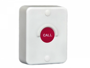 new-ibells309-1